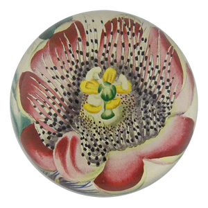 John Derian Dome Paperweight: Passion Flower
