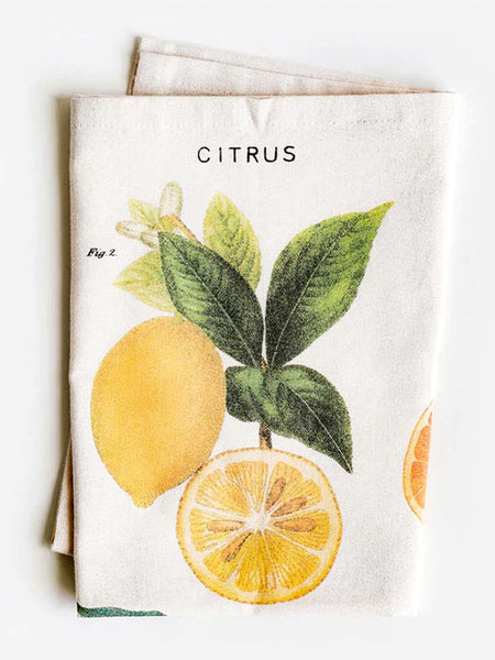 Vintage Botanical Print Cloth Napkins - Set of 4