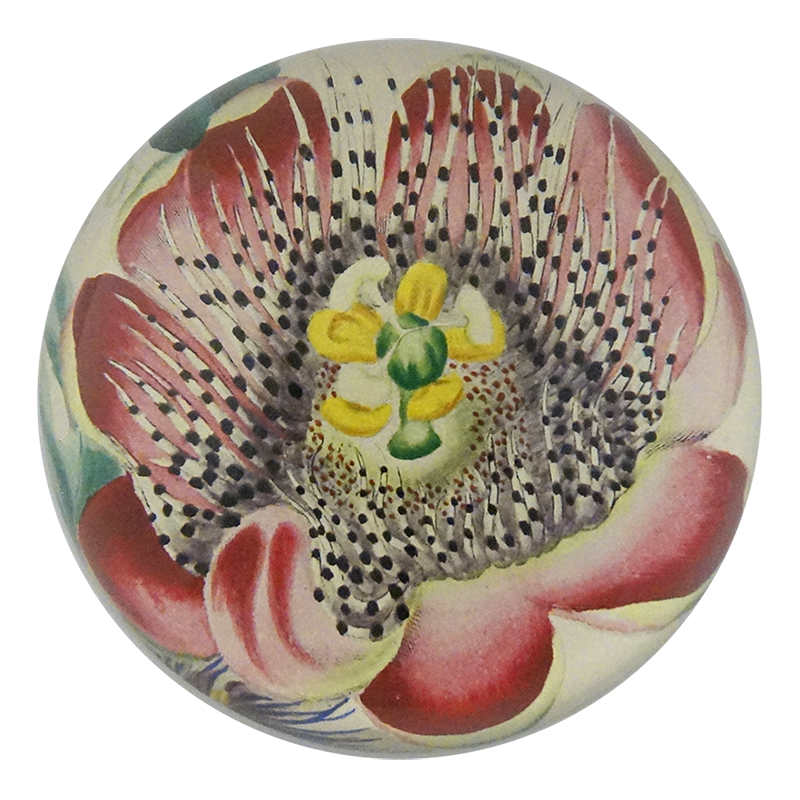 John Derian Dome Paperweight: Passion Flower