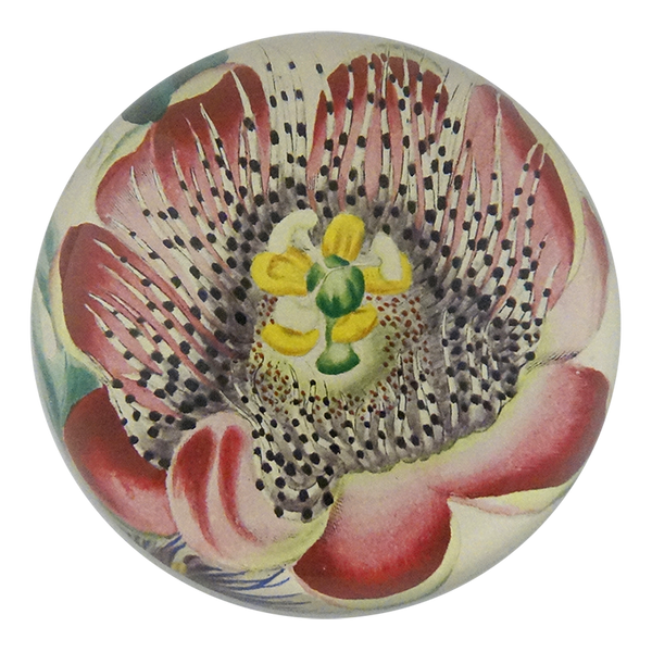 John Derian Dome Paperweight: Passion Flower