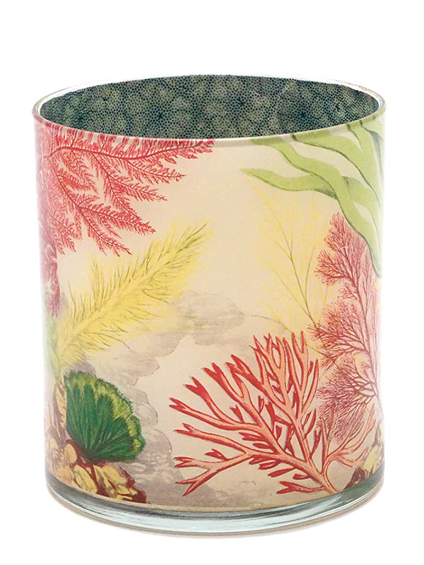 John Derian Desk Cup - Sea Life